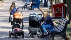 На Ставрополье более 21 тыс. детей обеспечили выплатами