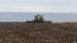 Более 47 тыс. га рапса засеяли на Ставрополье