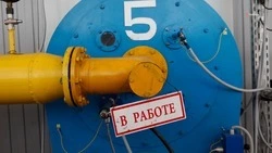 Ставропольчанке, чей муж участвует в спецоперации, помогут с газификацией дома