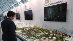 Губернатор Ставрополья: Кавказская инвестиционная выставка станет ежегодной 