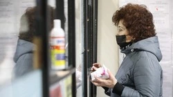 Ветераны спецоперации открывают аптеки и развивают фермы на Ставрополье