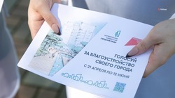 Более 38 тыс. жителей Шпаковского округа проголосовали за проекты благоустройства
