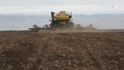 Весенние полевые работы завершаются на Ставрополье 