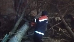 На Ставрополье более 35 тысяч человек остаются без света из-за непогоды