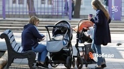 В 2023 году на индексацию соцвыплат на Ставрополье заложили 430 млн рублей 