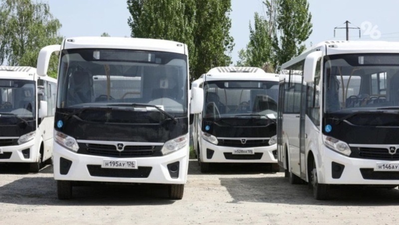 Почти сто единиц общественного транспорта поступит на Ставрополье в 2024 году