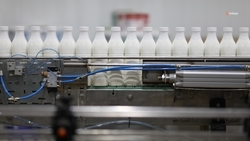 На Ставрополье реализуют семь проектов в сфере пищевой промышленности