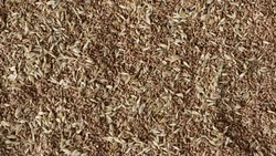 Ставрополье за два месяца экспортировало более 113 тыс. тонн продукции АПК