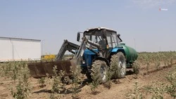 Предприятиям АПК Ставрополья компенсируют затраты на студенческую практику