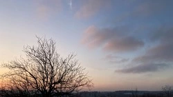 До +11 градусов потеплеет в Шпаковском округе