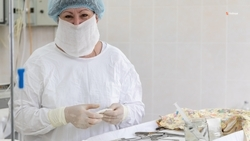 76 врачей трудоустроят в сельские больницы Ставрополья в 2026 году