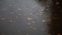 Дождь ожидается в Михайловске 1 декабря