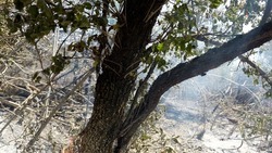 Губернатор Ставрополья: «Пострадавшие от пожара дома в Озёрном должны быть восстановлены»