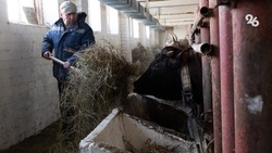Господдержку на сумму 5,17 млрд рублей получили аграрии Ставрополья в 2022 году