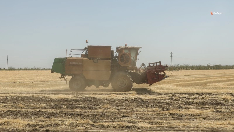 На Ставрополье аграрии начали весенний сев на 1 млн гектаров