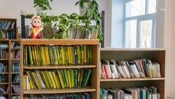 К строительству поликлиники в Михайловске приступят весной 2023 года