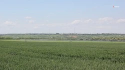 Новыми системами орошения оборудовали 8,6 тысячи гектаров сельхозземель на Ставрополье в 2022 году