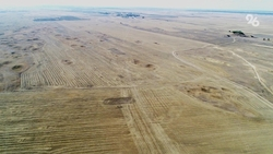 Экологи оценили масштабы опустынивания земель на Ставрополье 