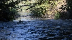  Минприроды Ставрополья обследовало уровень воды в реке Подкумок 