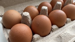 В Ставрополе продали более 100 тыс. яиц на ярмарках 