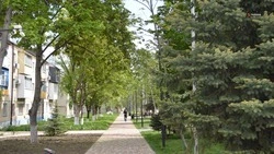 Эксперт назвал причину обвала тротуаров в Ставрополе