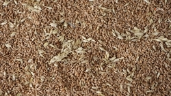 На Ставрополье перевыполнили план по экспорту продукции АПК на 3%