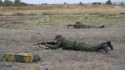 Вопросы поддержки бойцов СВО и их семей на Ставрополье решают первостепенно