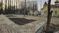 Новая пешеходная зона появится в Михайловске