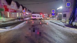 Водитель насмерть сбил пешехода в Михайловске