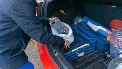 Ставропольцам рассказали, куда обращаться для оказания помощи бездомным