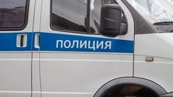 Водителей свадебного кортежа из Шпаковского округа наказали за задний ход