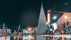 Детей участников СВО пригласят на краевую новогоднюю ёлку на Ставрополье