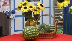 Арбузный фестиваль пройдёт в Кисловодске в середине августа