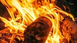 Минприроды Ставрополья: уровень пожароопасной ситуации снизился в регионе