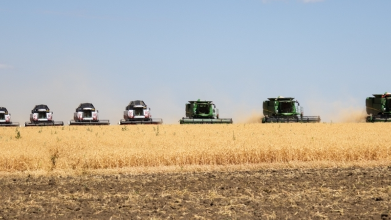 На Ставрополье субсидии помогли застраховать почти миллион гектаров посевов