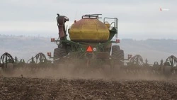 Аграрии Ставрополья приступили к севу ранних яровых культур