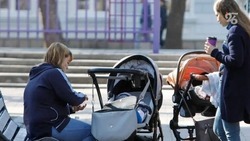 Ставропольские семьи с маленькими детьми получили более 710 млн рублей господдержки 