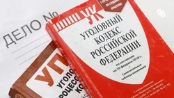 Подозреваемого в обмане магазинов в Шпаковском округе задержали на Кубани