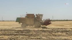 На Ставрополье аграрии начали весенний сев на 1 млн гектаров