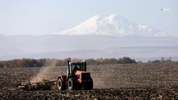 Аграрии Ставрополья перешагнули экватор сева кукурузы
