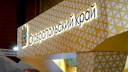 Губернатор Владимиров представил вице-премьеру Новаку модель развития Ставрополья