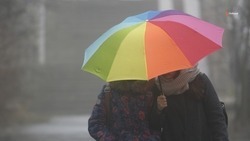 Пасмурная погода и снег с дождём ожидаются в Михайловске 23 марта