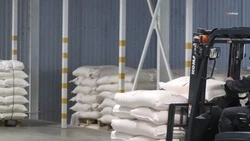 Ставрополье начнёт поставлять местную индейку в ОАЭ