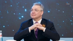 Ставрополье вошло в топ-15 по числу субъектов МСП – губернатор Владимиров