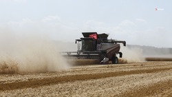 Аграрии Шпаковского округа собрали свыше 354 тыс. тонн урожая