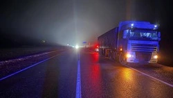 Житель Шпаковского округа скончался под колёсами грузовика