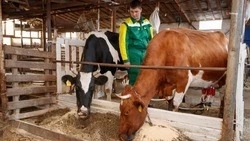 Новые направления развития АПК осваивают на Ставрополье