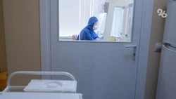 Штамм коронавируса «цербер» на Ставрополье не обнаружен — специалист минздрава региона