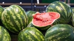 «Победа26» опубликовала программу ягодного фестиваля в Кисловодске 