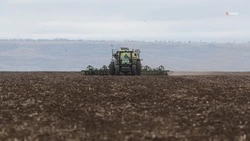 Более 47 тыс. га рапса засеяли на Ставрополье